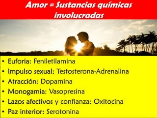 Amor = Sustancias químicas
involucradas

•
•
•
•
•
•

Euforia: Feniletilamina
Impulso sexual: Testosterona-Adrenalina
Atracción: Dopamina
Monogamia: Vasopresina
Lazos afectivos y confianza: Oxitocina
Paz interior: Serotonina

 