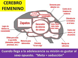 CEREBRO
FEMENINO

Cuando llega a la adolescencia su misión es gustar al
sexo opuesto. “Meta = seducción”

 