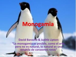 Monogamia
David Barashb & Juditb Lipton:
“La monogamia es posible, como el arte,
pero no es natural, lo natural es una
retahíla de corazones rotos”

 