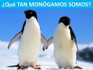 ¿Qué TAN MONÓGAMOS SOMOS?

 