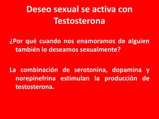 Deseo sexual se activa con
Testosterona
¿Por qué cuando nos enamoramos de alguien
también lo deseamos sexualmente?
La combinación de serotonina, dopamina y
norepinefrina estimulan la producción de
testosterona.

 
