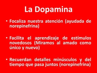 La Dopamina
• Focaliza nuestra atención (ayudada de
norepinefrina)
• Facilita el aprendizaje de estímulos
novedosos (Miramos al amado como
único y nuevo)

• Recuerdan detalles minúsculos y del
tiempo que pasa juntos (norepinefrina)

 