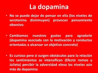 La dopamina
• No se puede dejar de pensar en ella (los niveles de
serotonina disminuyen) provocan pensamiento
obsesivo.
• Cambiamos nuestros gustos para agradarle
(dopamina asociada con la motivación y conductas
orientadas a alcanzar un objetivo concreto)
• Es curioso pero si surgen obstáculos para la relación
los sentimientos se intensifican (Efecto romeo y
Julieta) percibir la adversidad eleva los niveles aún
más de dopamina

 