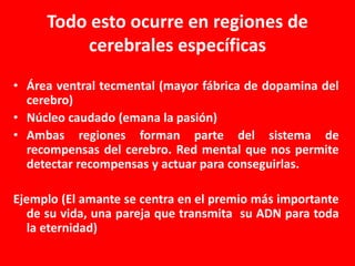 Todo esto ocurre en regiones de
cerebrales específicas
• Área ventral tecmental (mayor fábrica de dopamina del
cerebro)
• Núcleo caudado (emana la pasión)
• Ambas regiones forman parte del sistema de
recompensas del cerebro. Red mental que nos permite
detectar recompensas y actuar para conseguirlas.
Ejemplo (El amante se centra en el premio más importante
de su vida, una pareja que transmita su ADN para toda
la eternidad)

 