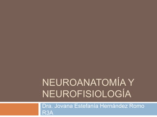 NEUROANATOMÍA Y
NEUROFISIOLOGÍA
Dra. Jovana Estefanía Hernández Romo
R3A
 