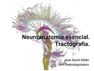 Neuroanatomía esencial. 
Tractografía. 
José David Albillo 
MIR Radiodiagnóstico 
 