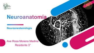 Neuroanestesiología
Ave Rosa Moreno Medina
Residente 3°
 