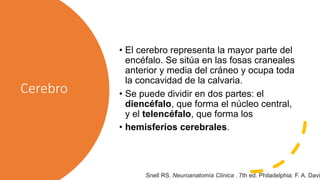 Cerebro
• El cerebro representa la mayor parte del
encéfalo. Se sitúa en las fosas craneales
anterior y media del cráneo y ocupa toda
la concavidad de la calvaria.
• Se puede dividir en dos partes: el
diencéfalo, que forma el núcleo central,
y el telencéfalo, que forma los
• hemisferios cerebrales.
Snell RS. Neuroanatomía Clínica . 7th ed. Philadelphia: F. A. Davi
 
