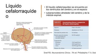 Líquido
cefalorraquíde
o
• El líquido cefalorraquídeo se encuentra en
los ventrículos del cerebro y en el espacio
• subaracnoideo alrededor del cerebro y de la
médula espinal.
Snell RS. Neuroanatomía Clínica . 7th ed. Philadelphia: F. A. Davi
 
