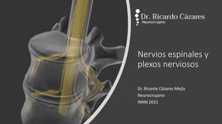 Nervios espinales y
plexos nerviosos
Dr. Ricardo Cázares Mejía
Neurocirujano
INNN 2021
 