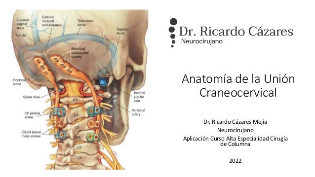 Anatomía de la Unión
Craneocervical
Dr. Ricardo Cázares Mejía
Neurocirujano
Aplicación Curso Alta Especialidad Cirugía
de Columna
2022
 