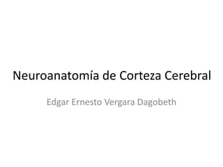 Neuroanatomía de Corteza Cerebral
     Edgar Ernesto Vergara Dagobeth
 