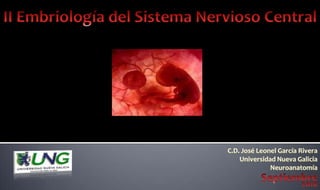 II Embriología del Sistema Nervioso Central C.D. José Leonel García Rivera Universidad Nueva Galicia Neuroanatomía Septiembre 2010 