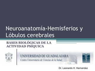 Neuroanatomía-Hemisferios y Lóbulos cerebrales   BASES BIOLÓGICAS DE LA ACTIVIDAD PSÍQUICA Dr. Leonardo H. Hernandez 