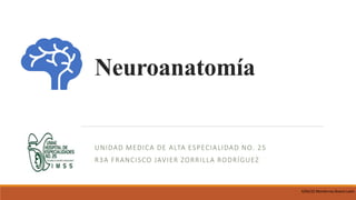 Neuroanatomía
UNIDAD MEDICA DE ALTA ESPECIALIDAD NO. 25
R3A FRANCISCO JAVIER ZORRILLA RODRÍGUEZ
4/04/22 Monterrey Nuevo León
 