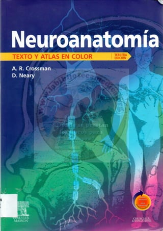 Neuroanatomía texto y atlas   crossman 3ed