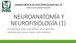 NEUROANATOMÍA Y
NEUROFISIOLOGÍA (1)
R3 ANESTESIOLOGÍA: DINA MIGDET ROJAS BALTAZAR
PROFESOR: DR. MIGUEL ÁNGEL LÓPEZ OROPEZA
UNIDAD MÉDICA DE ALTA ESPECIALIDAD NO. 25
MÓDULO DE NEUROANESTESIOLOGÍA
 
