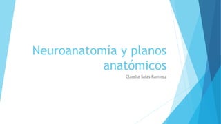 Neuroanatomía y planos
anatómicos
Claudia Salas Ramirez
 