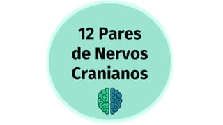 12 Pares
de Nervos
Cranianos
 