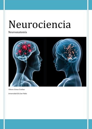 Neurociencia
Neuroanatomía

Alberto Gómez Esteban
Universidad CEU San Pablo

 