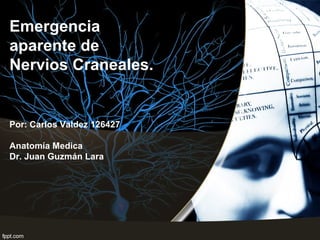 Emergencia
aparente de
Nervios Craneales.

Por: Carlos Valdez 126427
Anatomía Medica
Dr. Juan Guzmán Lara

 