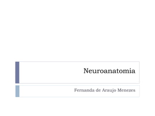 Neuroanatomia
Fernanda de Araujo Menezes
 