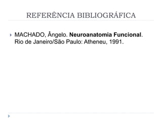 REFERÊNCIA BIBLIOGRÁFICA
 MACHADO, Ângelo. Neuroanatomia Funcional.
Rio de Janeiro/São Paulo: Atheneu, 1991.
 
