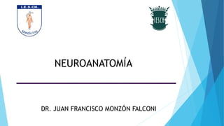 NEUROANATOMÍA
DR. JUAN FRANCISCO MONZÓN FALCONI
 