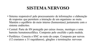 SISTEMA NERVOSO
• Sistema responsável pelo processamento de informações e elaboração
de respostas que permitem a interação de um organismo ao meio.
Mantém o equilíbrio do meio interno (homeostase) juntamente com o
sistema endócrino.
• Central: Parte do SN protegida por caixas ósseas, meninges e uma
barreira hematoencefálica. Composto pelo encéfalo e pela medula.
• Periférico: Conecta o SNC ao resto do corpo. Composto por nervos
(12 cranianos e 31 raquidianos), gânglios e terminações nervosas
 