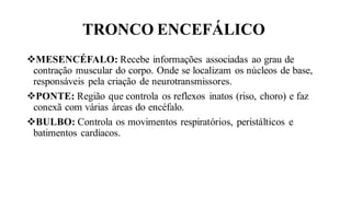 TRONCO ENCEFÁLICO
❖MESENCÉFALO: Recebe informações associadas ao grau de
contração muscular do corpo. Onde se localizam os núcleos de base,
responsáveis pela criação de neurotransmissores.
❖PONTE: Região que controla os reflexos inatos (riso, choro) e faz
conexã com várias áreas do encéfalo.
❖BULBO: Controla os movimentos respiratórios, peristálticos e
batimentos cardíacos.
 
