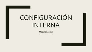 CONFIGURACIÓN
INTERNA
Medula Espinal
 