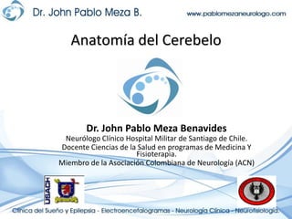 Anatomía del Cerebelo  Dr. John Pablo Meza Benavides Neurólogo Clínico Hospital Militar de Santiago de Chile. Docente Ciencias de la Salud en programas de Medicina Y Fisioterapia. Miembro de la Asociación Colombiana de Neurología (ACN) 