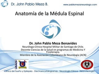 Anatomía de la Médula Espinal Dr. John Pablo Meza Benavides Neurólogo Clínico Hospital Militar de Santiago de Chile. Docente Ciencias de la Salud en programas de Medicina Y Fisioterapia. Miembro de la Asociación Colombiana de Neurología (ACN) 