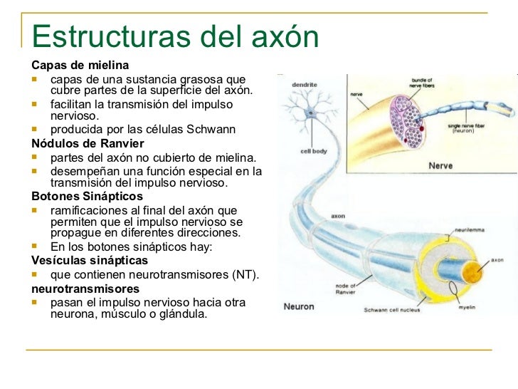 Te conectamos con los cambios