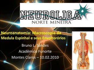Neuroanatomia: Macroscopia da
Medula Espinhal e seus Envoltorórios
         Bruno L. Sandes
        Acadêmico Funorte
     Montes Claros – 10.02.2010
 