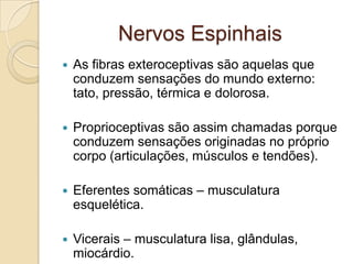Nervos Espinhais
   As fibras exteroceptivas são aquelas que
    conduzem sensações do mundo externo:
    tato, pressão, térmica e dolorosa.

   Proprioceptivas são assim chamadas porque
    conduzem sensações originadas no próprio
    corpo (articulações, músculos e tendões).

   Eferentes somáticas – musculatura
    esquelética.

   Vicerais – musculatura lisa, glândulas,
    miocárdio.
 