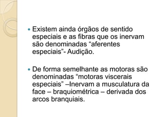   Existem ainda órgãos de sentido
    especiais e as fibras que os inervam
    são denominadas “aferentes
    especiais”- Audição.

   De forma semelhante as motoras são
    denominadas “motoras viscerais
    especiais” –Inervam a musculatura da
    face – braquiométrica – derivada dos
    arcos branquiais.
 
