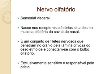 Nervo olfatório
   Sensorial visceral.

   Nasce nos receptores olfatórios situados na
    mucosa olfatória da cavidade nasal.

   É um conjunto de filetes nervosos que
    penetram no crânio pela lâmina crivosa do
    osso etmóide e conectam-se com o bulbo
    olfatório.

   Exclusivamente sensitivo e responsável pelo
    olfato.
 