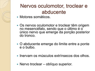 Nervos oculomotor, troclear e
            abducente
   Motores somáticos.

   Os nervos oculomotor e troclear têm origem
    no mesencéfalo, sendo que o último é o
    único nervo que emerge da porção posterior
    do tronco.

   O abducente emerge do limite entre a ponte
    e o bulbo.

   Inervam os músculos extrínsecos dos olhos.

   Nervo troclear – oblíquo superior.
 