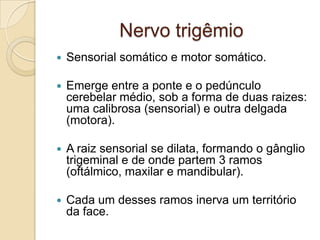 Nervo trigêmio
   Sensorial somático e motor somático.

   Emerge entre a ponte e o pedúnculo
    cerebelar médio, sob a forma de duas raizes:
    uma calibrosa (sensorial) e outra delgada
    (motora).

   A raiz sensorial se dilata, formando o gânglio
    trigeminal e de onde partem 3 ramos
    (oftálmico, maxilar e mandibular).

   Cada um desses ramos inerva um território
    da face.
 