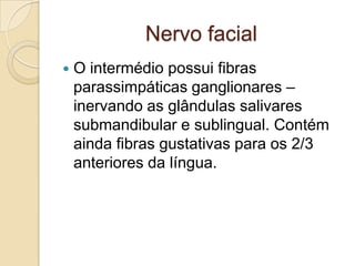 Nervo facial
   O intermédio possui fibras
    parassimpáticas ganglionares –
    inervando as glândulas salivares
    submandibular e sublingual. Contém
    ainda fibras gustativas para os 2/3
    anteriores da língua.
 