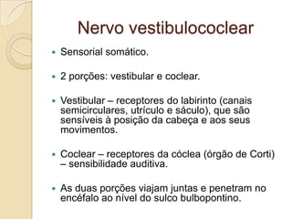 Nervo vestibulococlear
   Sensorial somático.

   2 porções: vestibular e coclear.

   Vestibular – receptores do labirinto (canais
    semicirculares, utrículo e sáculo), que são
    sensíveis à posição da cabeça e aos seus
    movimentos.

   Coclear – receptores da cóclea (órgão de Corti)
    – sensibilidade auditiva.

   As duas porções viajam juntas e penetram no
    encéfalo ao nível do sulco bulbopontino.
 