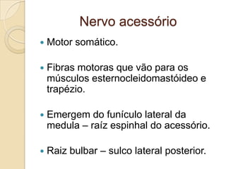 Nervo acessório
   Motor somático.

   Fibras motoras que vão para os
    músculos esternocleidomastóideo e
    trapézio.

   Emergem do funículo lateral da
    medula – raíz espinhal do acessório.

   Raiz bulbar – sulco lateral posterior.
 