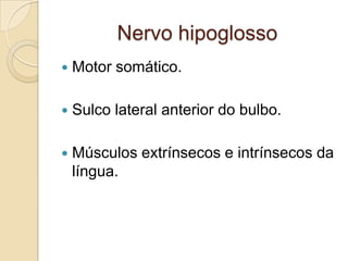 Nervo hipoglosso
   Motor somático.

   Sulco lateral anterior do bulbo.

   Músculos extrínsecos e intrínsecos da
    língua.
 