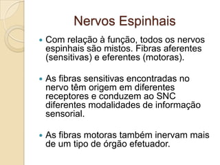 Nervos Espinhais
   Com relação à função, todos os nervos
    espinhais são mistos. Fibras aferentes
    (sensitivas) e eferentes (motoras).

   As fibras sensitivas encontradas no
    nervo têm origem em diferentes
    receptores e conduzem ao SNC
    diferentes modalidades de informação
    sensorial.

   As fibras motoras também inervam mais
    de um tipo de órgão efetuador.
 