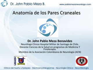 Anatomía de los Pares Craneales Dr. John Pablo Meza Benavides Neurólogo Clínico Hospital Militar de Santiago de Chile. Docente Ciencias de la Salud en programas de Medicina Y Fisioterapia. Miembro de la Asociación Colombiana de Neurología (ACN) 