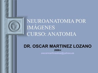 NEUROANATOMIA POR IMÁGENES CURSO: ANATOMIA DR. OSCAR MARTINEZ LOZANO 2008-I [email_address] 