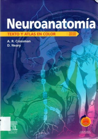 Neuroanatomia   texto y atlas crossman 