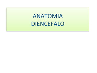 ANATOMIA  
DIENCEFALO 
 