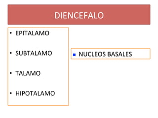 DIENCEFALO 
•  EPITALAMO 

•  SUBTALAMO            NUCLEOS BASALES 

•  TALAMO 

•  HIPOTALAMO 
 